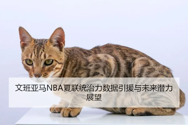 文班亚马NBA夏联统治力数据引援与未来潜力展望