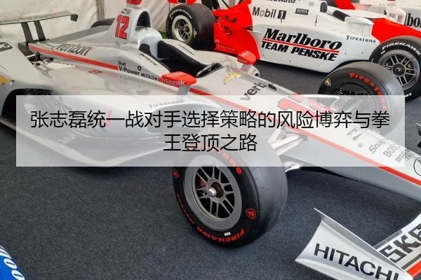 张志磊统一战对手选择策略的风险博弈与拳王登顶之路